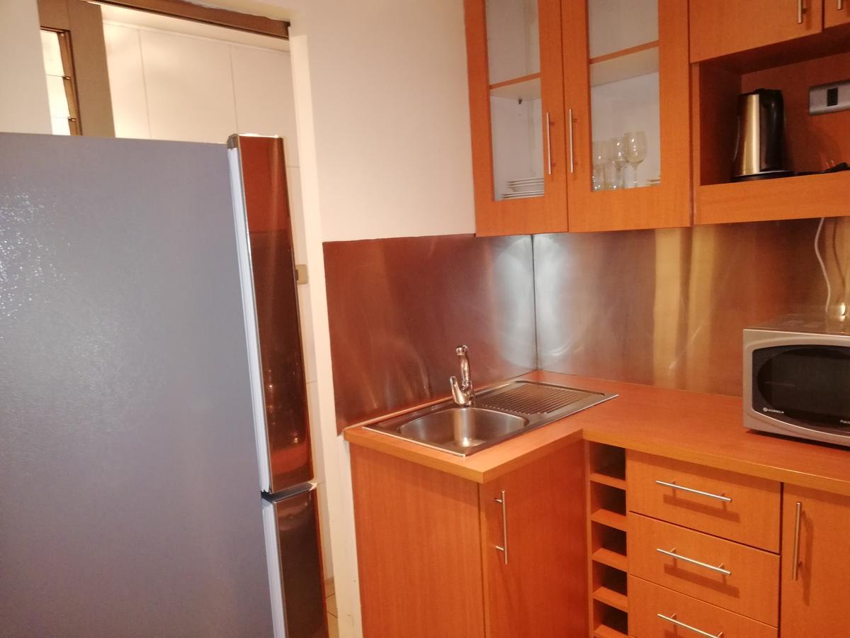 Andes Suites Santiago du Chili Extérieur photo